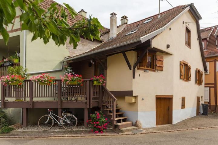 Gite, Maison Independante "Chez Yvette Et Andre" 2 A 6 Pers, Ribeauville A 3 Km, Colmar A 10 Km Guemar Екстер'єр фото